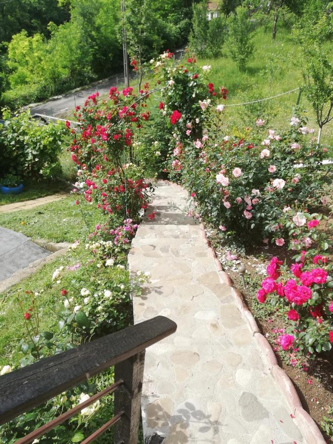 Hotel Casuta Cu Trandafiri Slănic Esterno foto