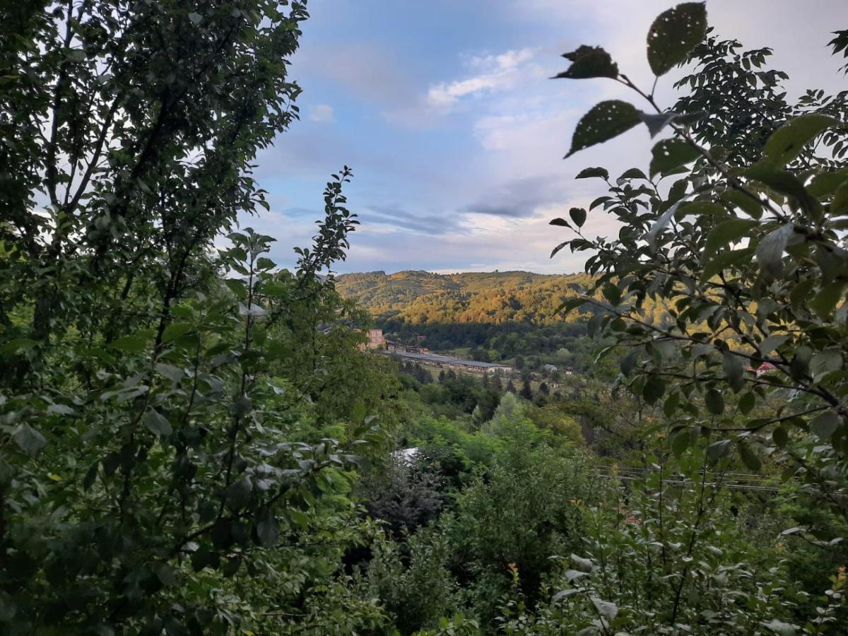 Hotel Casuta Cu Trandafiri Slănic Esterno foto