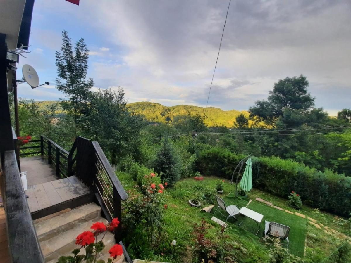 Hotel Casuta Cu Trandafiri Slănic Esterno foto