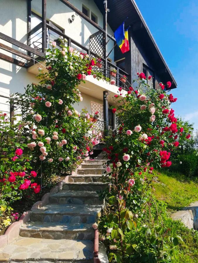 Hotel Casuta Cu Trandafiri Slănic Esterno foto