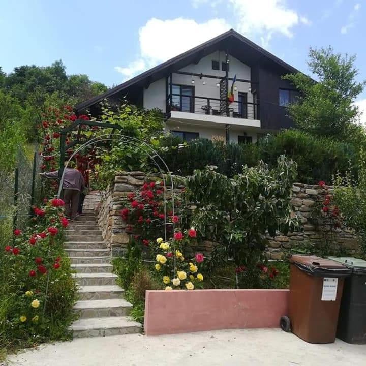 Hotel Casuta Cu Trandafiri Slănic Esterno foto