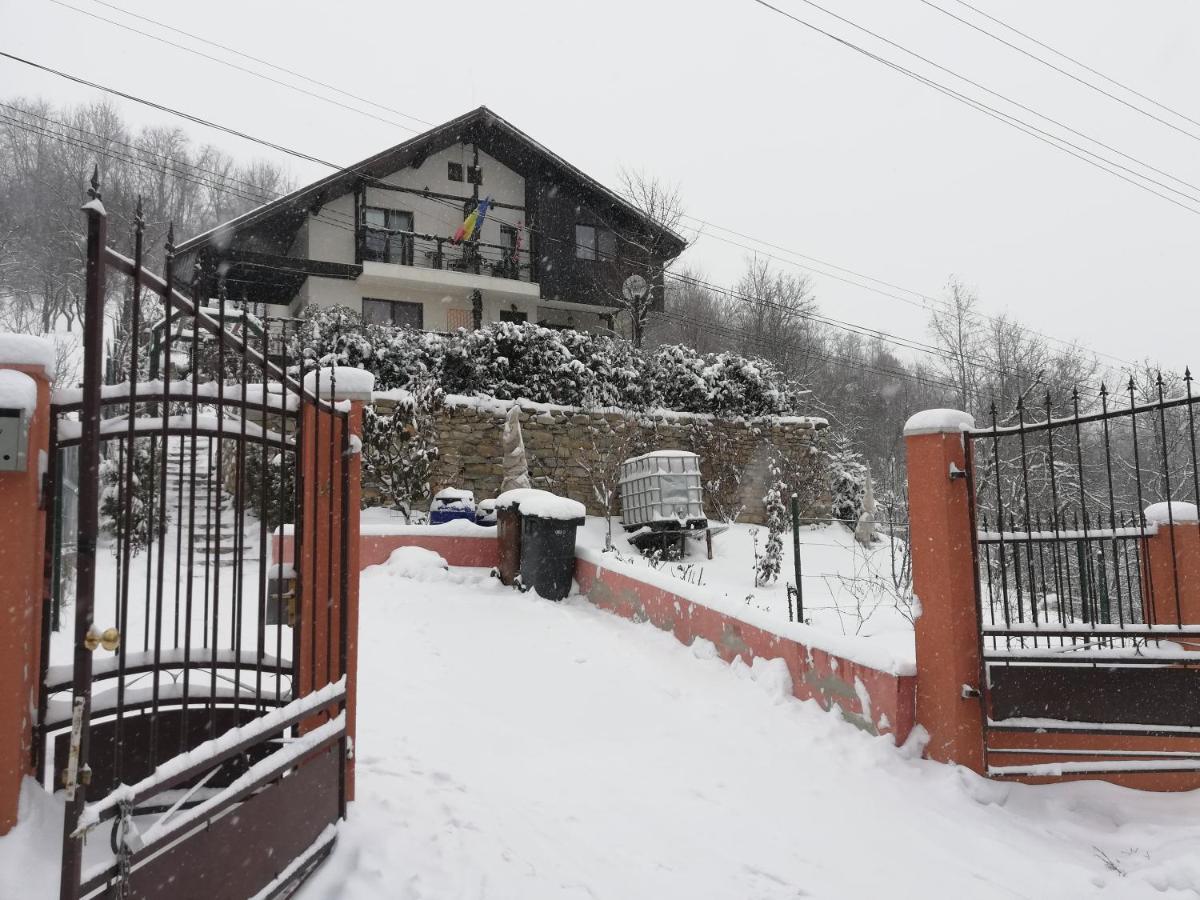 Hotel Casuta Cu Trandafiri Slănic Esterno foto